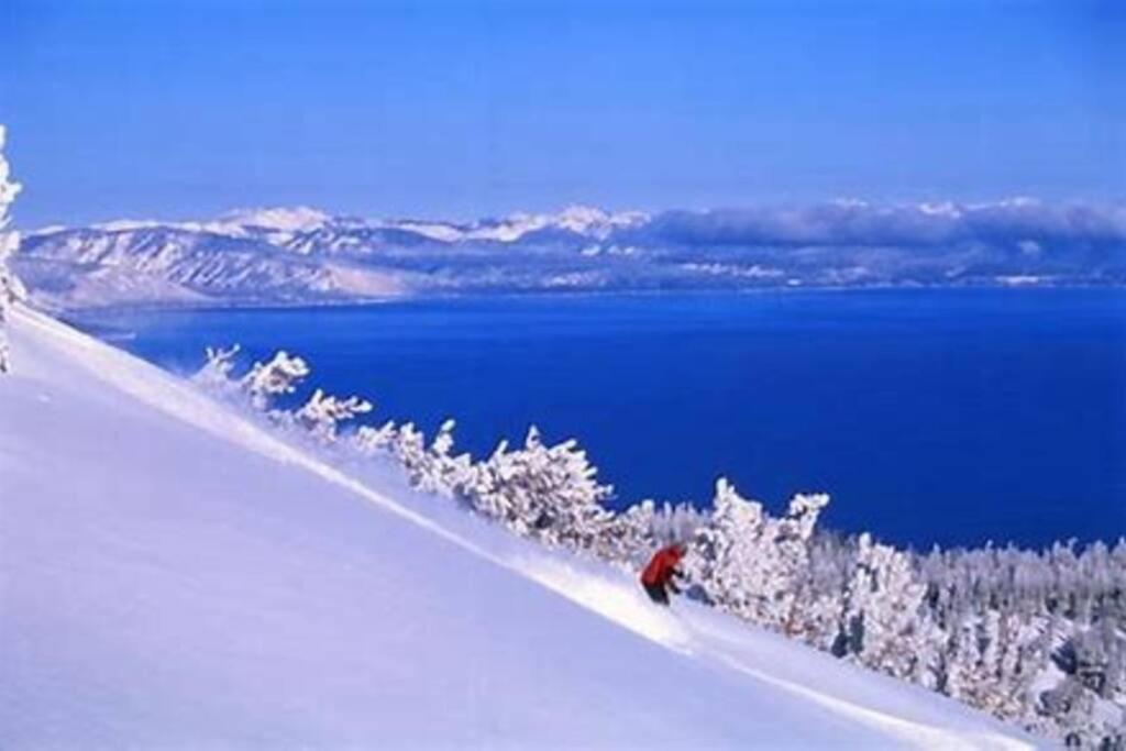 Ski In/Out - Zalanta - Great Location- 2 Hot Tubs - Heated Pool South Lake Tahoe Exteriör bild