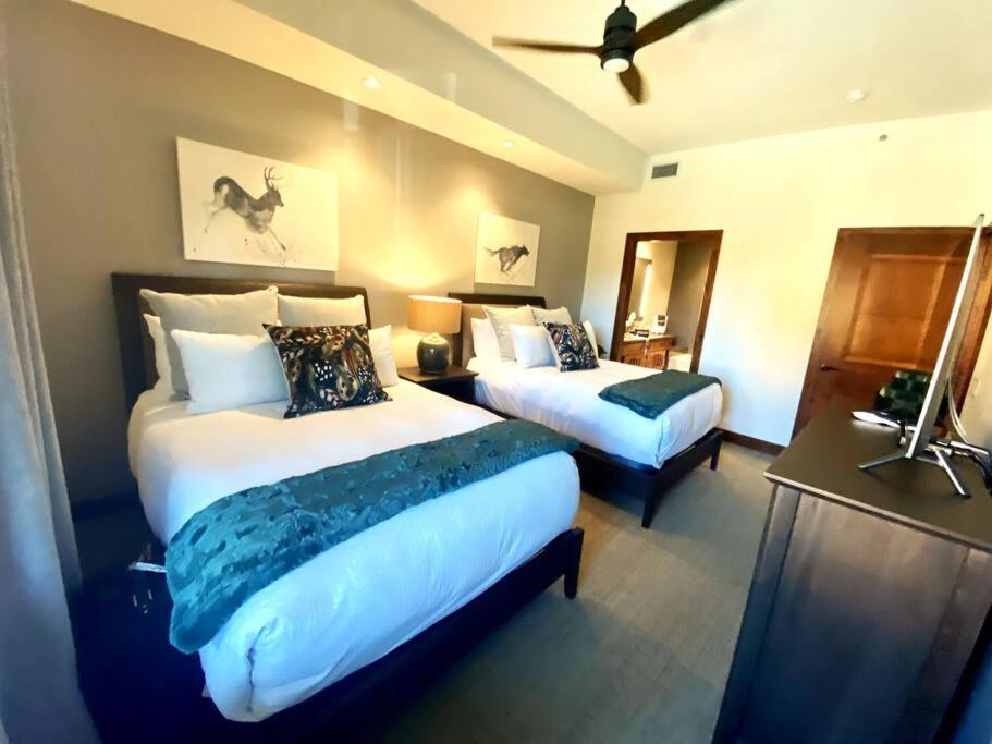 Ski In/Out - Zalanta - Great Location- 2 Hot Tubs - Heated Pool South Lake Tahoe Exteriör bild