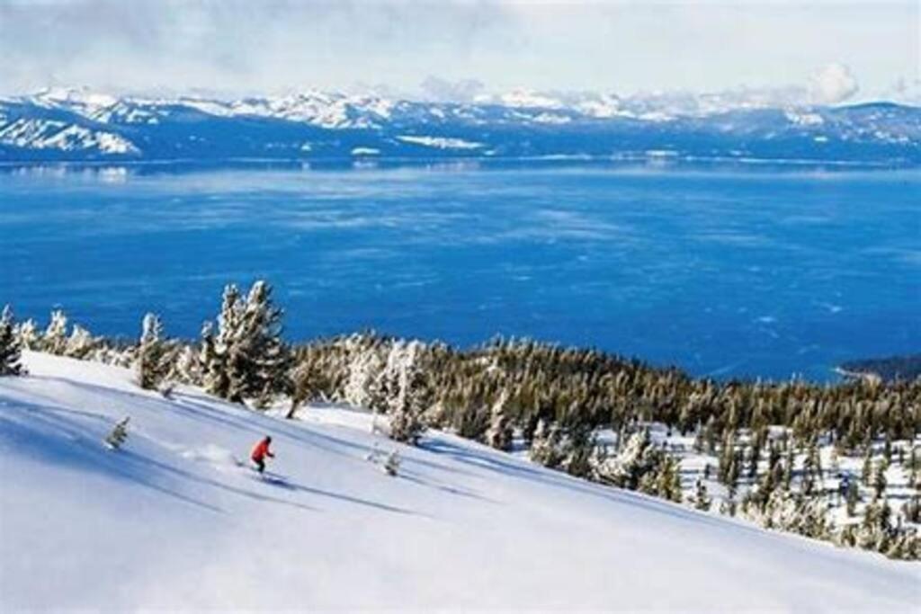 Ski In/Out - Zalanta - Great Location- 2 Hot Tubs - Heated Pool South Lake Tahoe Exteriör bild