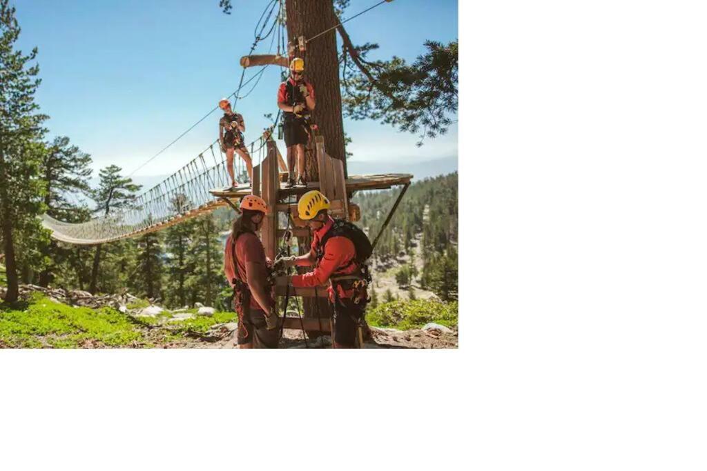 Ski In/Out - Zalanta - Great Location- 2 Hot Tubs - Heated Pool South Lake Tahoe Exteriör bild
